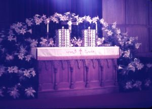 NBHA slides1167